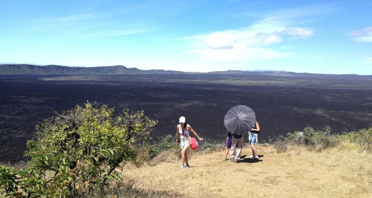 Circuit incroyable terrestre de 6 jours aux Galápagos, avec visite de 3 îles - Nature Galapagos & Ecuador 3