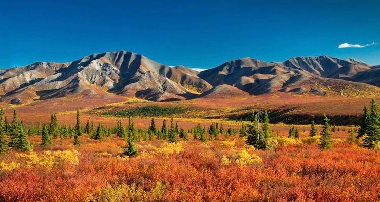 Nature's Best : Alaska - Globus 1