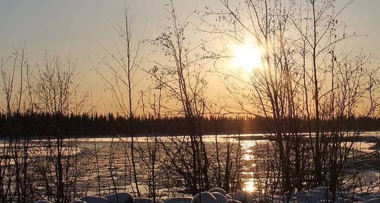 Nature's Best : Alaska - Globus 2