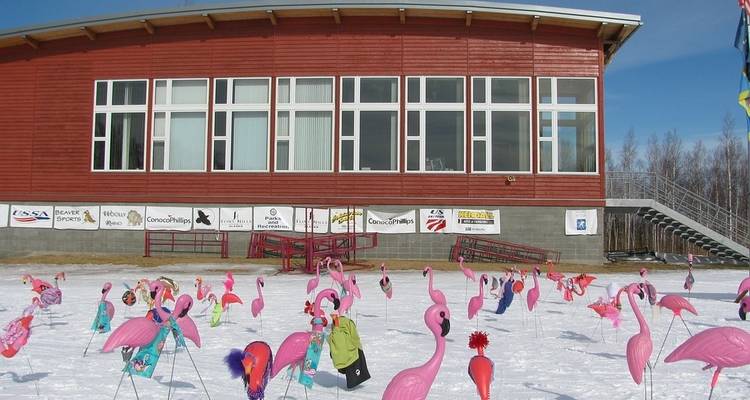 Nature's Best : Alaska - Globus 3
