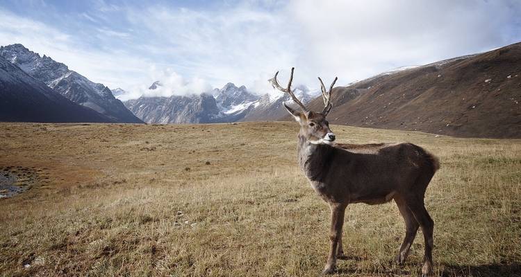 Nature's Best : Alaska - Globus 10