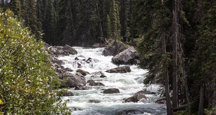 Le parc national des Glaciers et les Rocheuses canadiennes avec le Stampede de Calgary - Globus 6