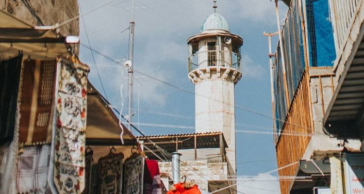 Plongez dans les profondeurs de la Jordanie et d'Israël 2022- 23 - Topdeck 6