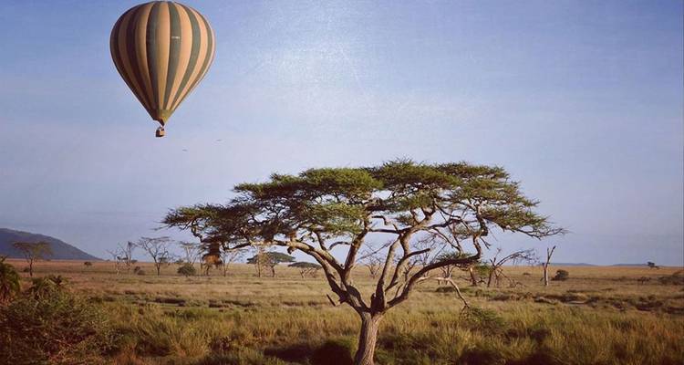 Un globo aerostático flota sobre una llanura salpicada de acacias en la luz del amanecer