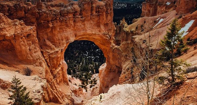 Canyon Country Adventure - Globus 7