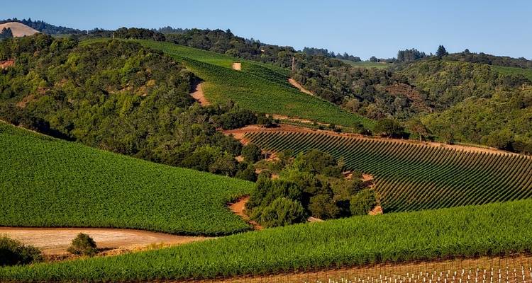 California Classics with San Diego - Globus 6