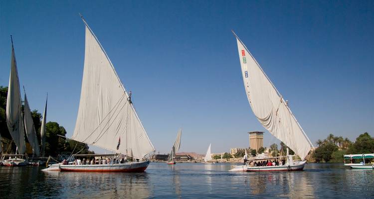 Los tradicionales barcos feluca de velas blancas se deslizan por las tranquilas aguas del Nilo bajo un cielo azul despejado.
