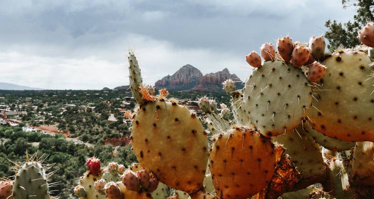 Lost Canyons of the Southwest - Globus 3