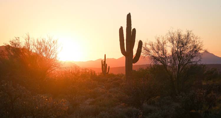 Lost Canyons of the Southwest - Globus 7