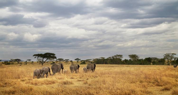 Tanzania Camping Adventure - G Adventures 2