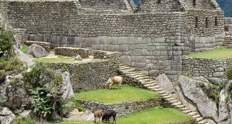 L'héritage des Incas avec l'Amazonie péruvienne - Globus 8