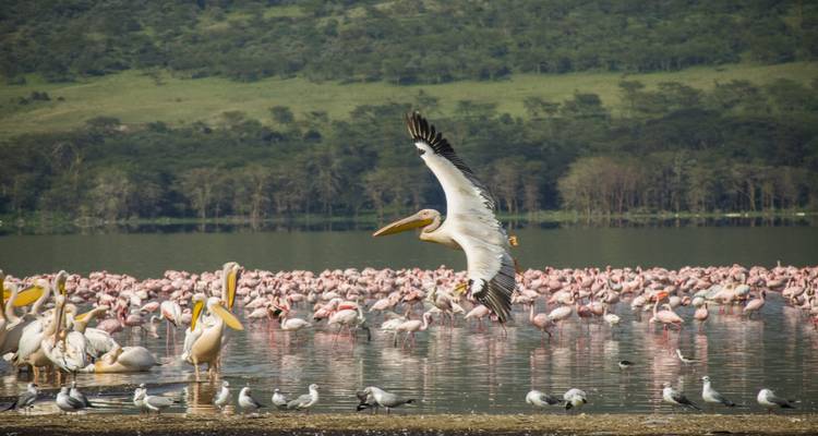 Victoria Falls et Serengeti Overland : Lacs et Landos - G Adventures 1