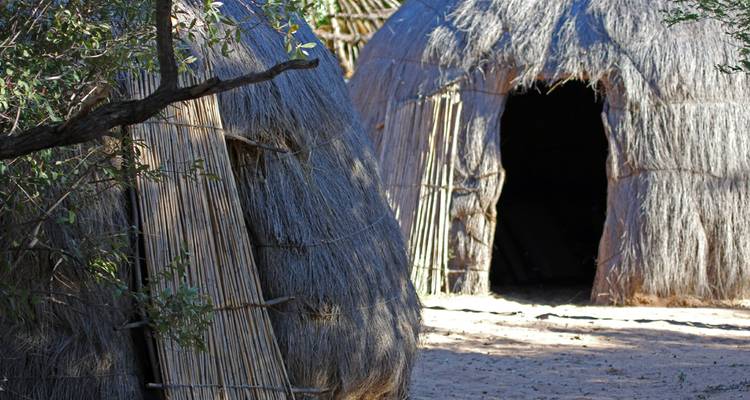 Cabañas circulares tradicionales con techos de paja y paredes de caña sombreadas por árboles espinosos.