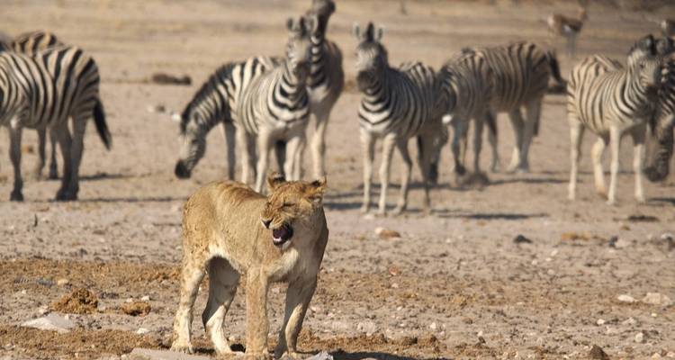 Southern Africa Southbound: Dunes, Deltas & Falls - G Adventures 9