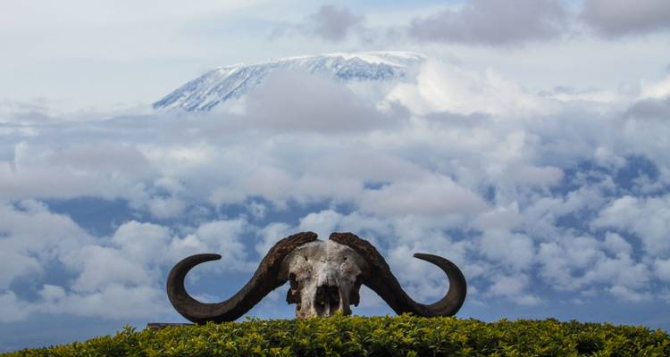 Kenya: A Classic Safari - Globus 4