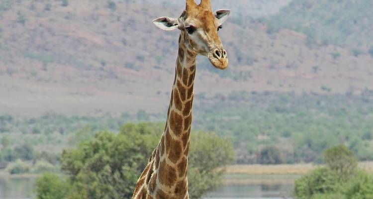 Splendeurs de l'Afrique du Sud et chutes Victoria - Globus 4