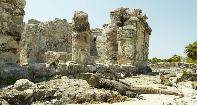 Aventura maya: México, Belice y Guatemala - G Adventures 3