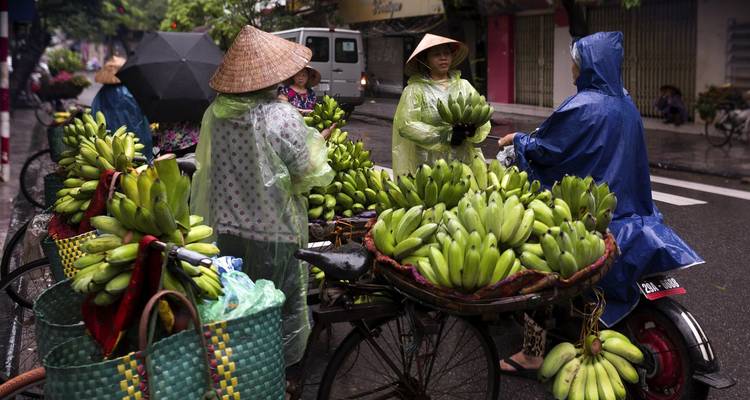 Simplemente Vietnam - Cosmos 6