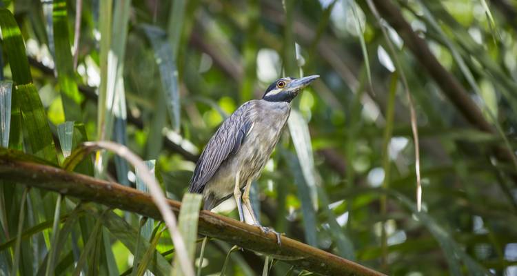 Aventure au Costa Rica - G Adventures 7