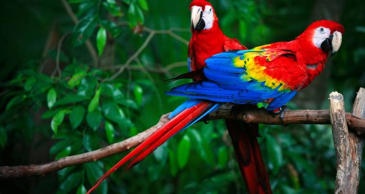 De l'Amazonie aux Andes - G Adventures 2