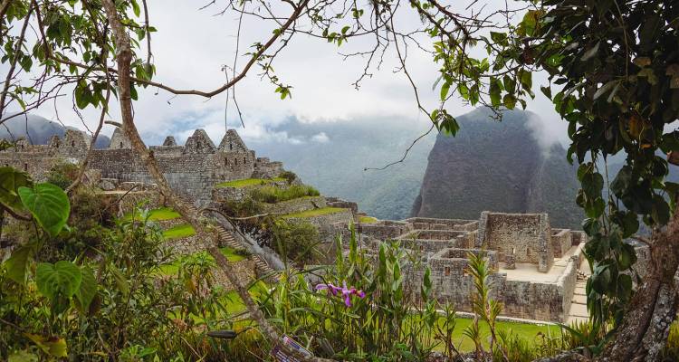 Les ruines de pierre anciennes des Incas et les terrasses se dressent sur un versant montagneux brumeux encadré par la végétation de la jungle.