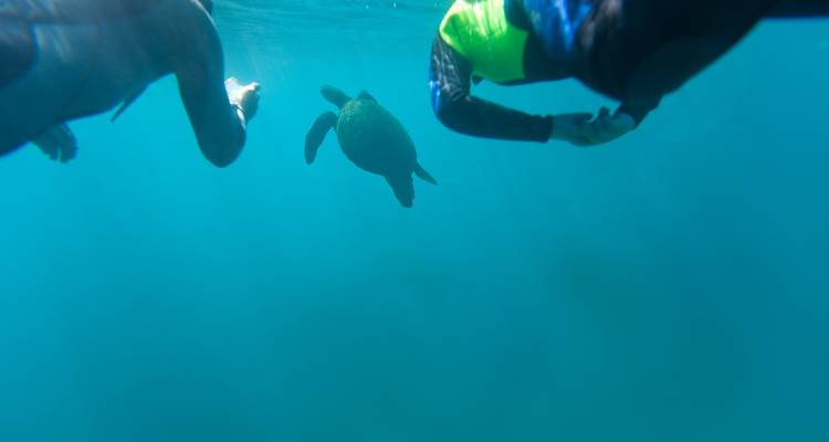 Galápagos Multisport - G Adventures 2