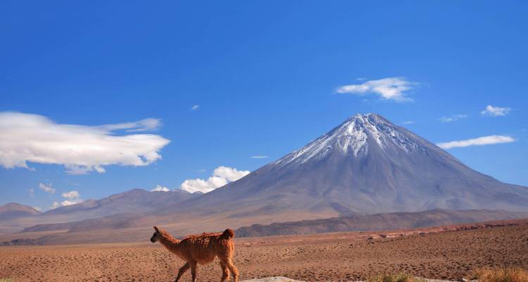 Les points forts de la Bolivie - 9 jours - On The Go Tours 9