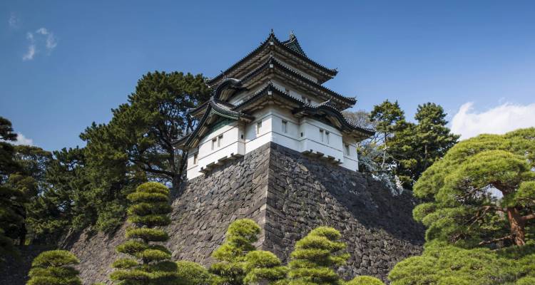 Château japonais traditionnel avec des murs en pierre entouré d'arbres luxuriants.