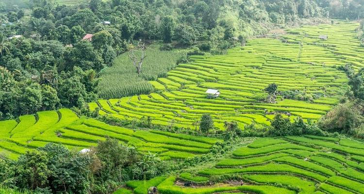 Thaïlande : Trek, vélo et kayak - G Adventures 3