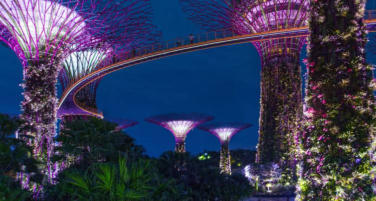 De Bangkok a Singapur: senderismo por la selva y noches en la isla - G Adventures 1
