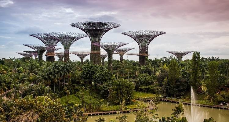 De Bangkok a Singapur: senderismo por la selva y noches en la isla - G Adventures 10