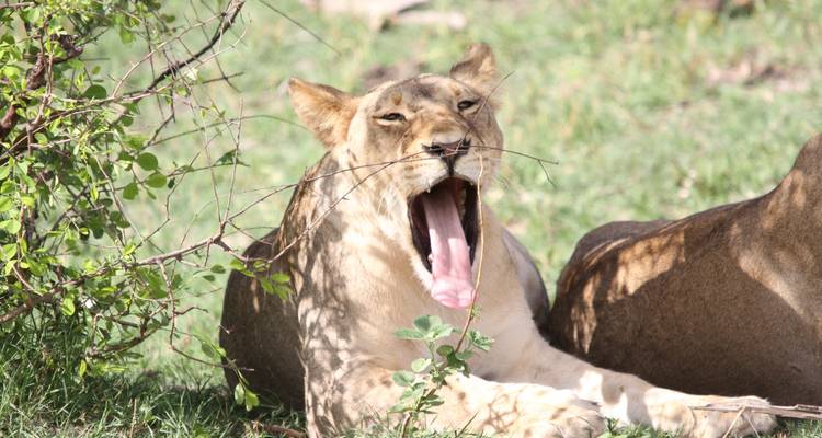 De Nairobi à Kampala 10 jours en Overlanding - Africa Travel Co. 4