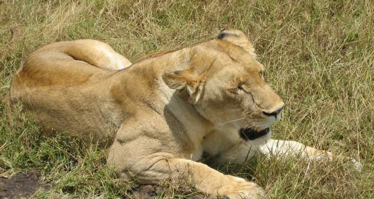 De Nairobi à Nairobi 11 jours en Overlanding - Africa Travel Co. 1