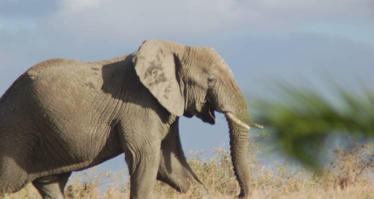 De Nairobi à Dar es Salaam 25 jours en Overlanding - Africa Travel Co. 3