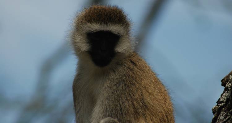 De Nairobi à Dar es Salaam 25 jours en Overlanding - Africa Travel Co. 4