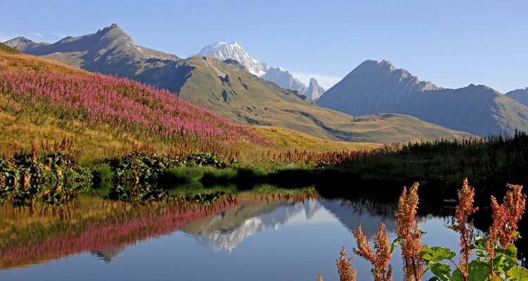 Trek du Mont Blanc - G Adventures 10