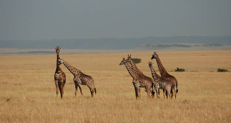 De Nairobi a Ciudad del Cabo 57 días por tierra - Africa Travel Co. 1