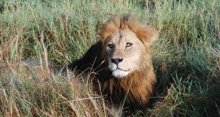 De Nairobi a Ciudad del Cabo 57 días por tierra - Africa Travel Co. 4