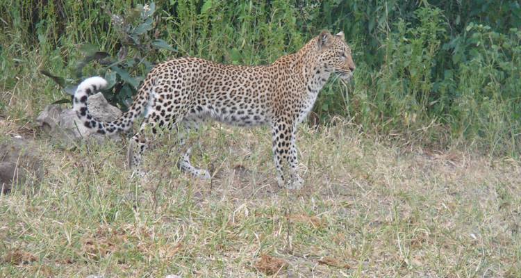 Victoria Falls To Nairobi 22 Days Overlanding - Africa Travel Co. 2