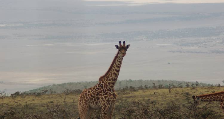 Victoria Falls To Nairobi 22 Days Overlanding - Africa Travel Co. 6