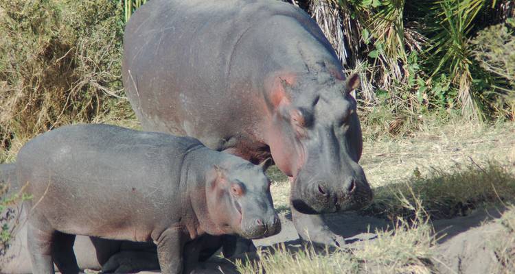 Victoria Falls To Nairobi 22 Days Overlanding - Africa Travel Co. 7