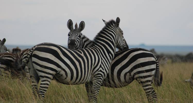 Victoria Falls To Nairobi 22 Days Overlanding - Africa Travel Co. 9