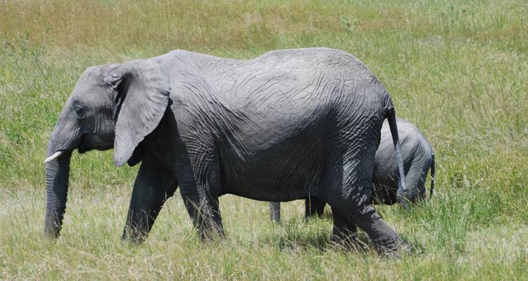Nairobi to Victoria Falls 36 Days Overlanding - Africa Travel Co. 2