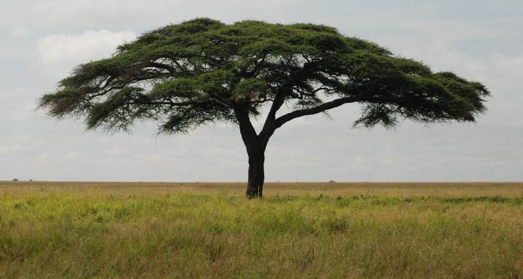 Nairobi to Victoria Falls 36 Days Overlanding - Africa Travel Co. 7