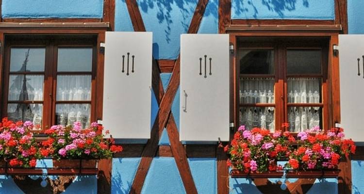Ruta del vino de Alsacia - Discover France Adventures 10