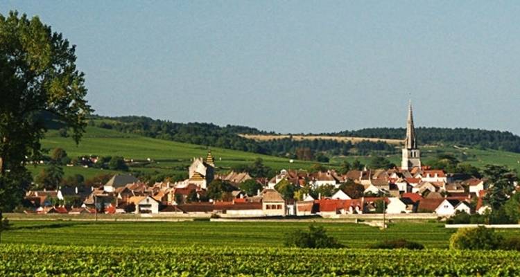 Circuit des vins de Bourgogne - Discover France Adventures 2