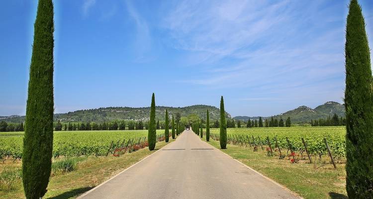 Burgundy : Beaune and Beyond - Discover France Adventures 1