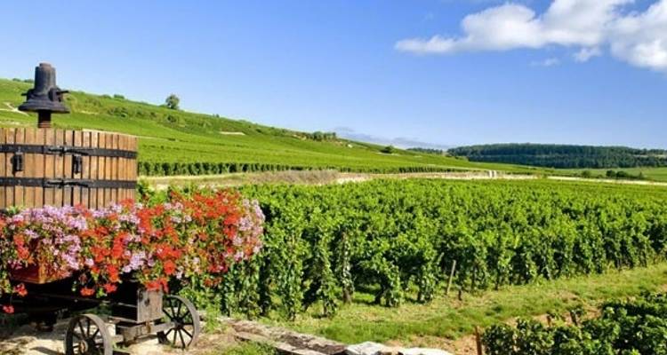 Burgundy : Beaune and Beyond - Discover France Adventures 2