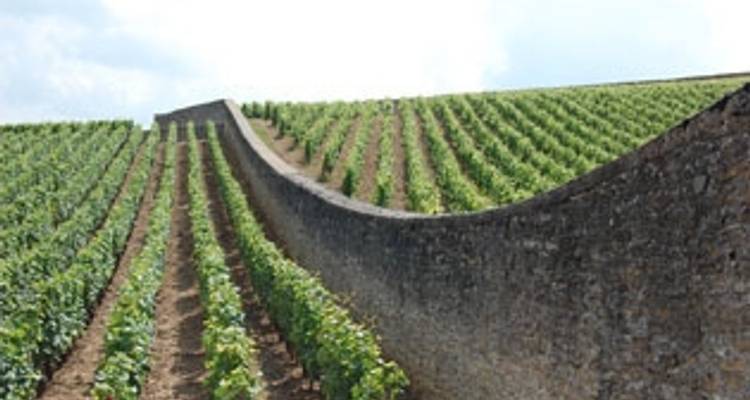 Burgundy : Beaune and Beyond - Discover France Adventures 4