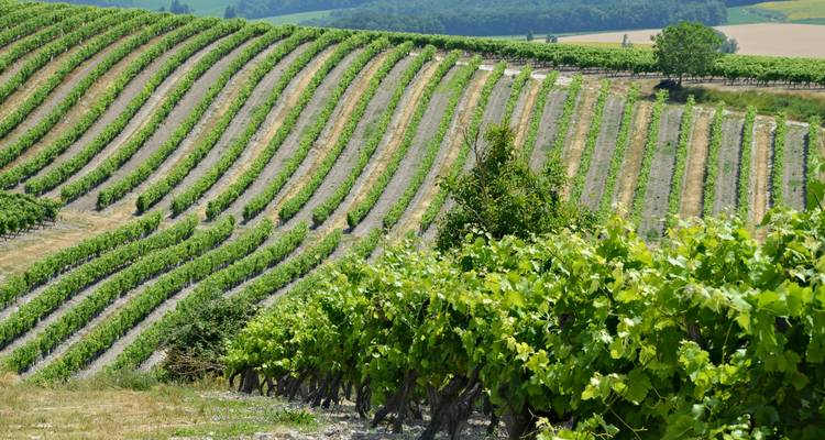 Lo mejor del champán - Discover France Adventures 1